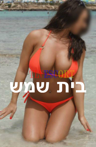 מודגש וגבוה, 22 שנים
